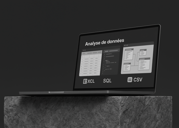 analyse-de-donnees